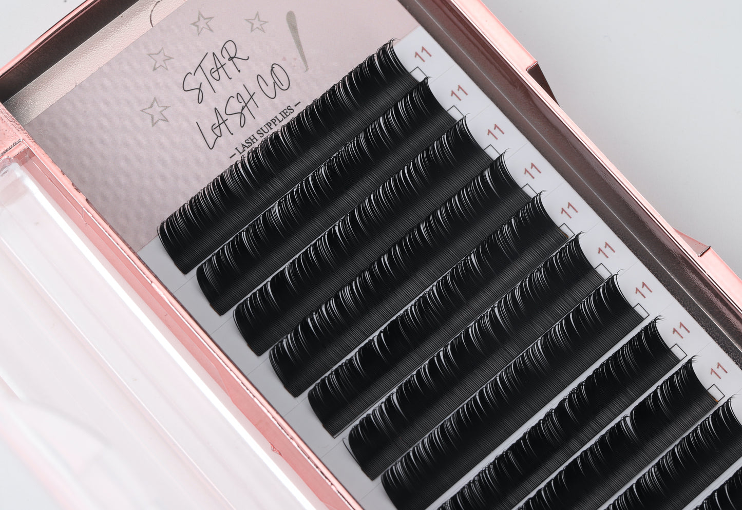 Classic Lash Tray - 0.15 / D Curl